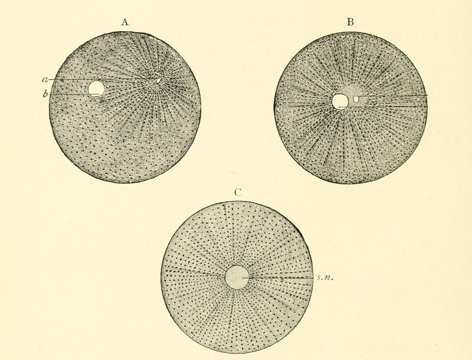 Open medical textbook page used during study.