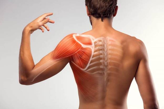 Common Symptoms of a Dislocated Shoulder and What to Do