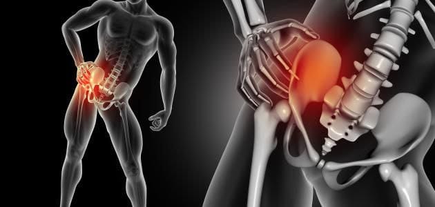 Optimizing Bone Grafts for Successful Spinal Fusion Surgery