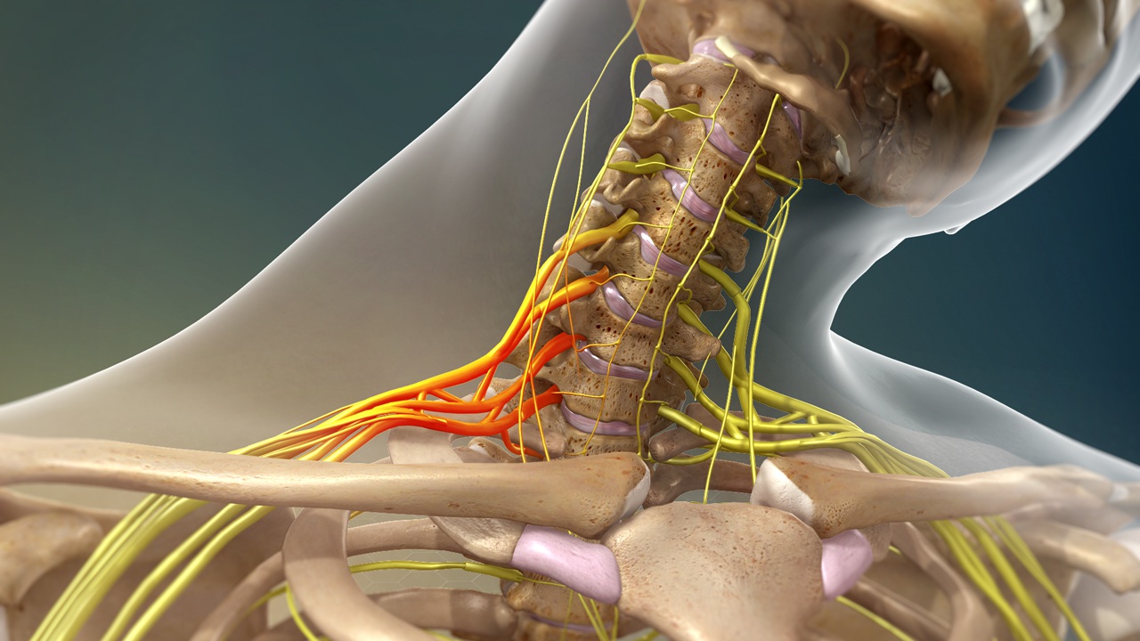 Ortho Globe | How to Recognize and Treat Nerve Damage in the Arm