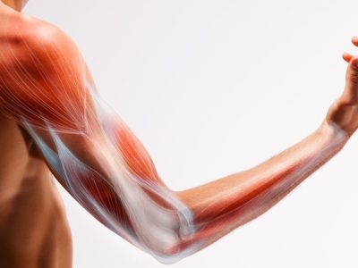 Triceps Tendon Ruptures