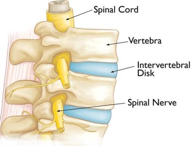 Understanding Osteoporosis and the Impact of Spinal Compression Fractures