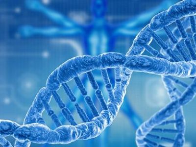 The Role of Genetics in Arm Injuries