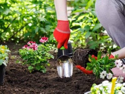 How to Prevent Arm Injuries While Gardening