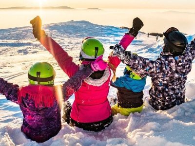 Skiing injuries of the upper limb