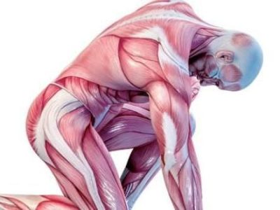 Home remedies for biceps pain